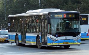 2631472 BJPT 8.jpg