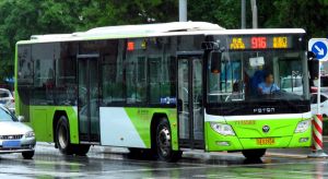 7175583 BJPT 916.jpg