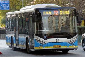 9628535 BJPT 12.jpg