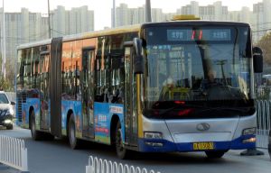 AD3043 BJPT 11.jpg