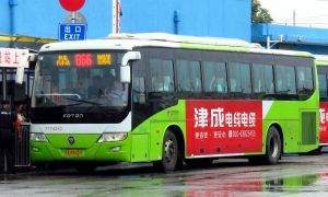 7174242 BJPT 866.jpg