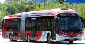 4730690 BJPT 1.jpg